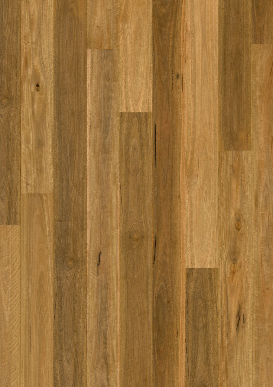 Quick-Step Cascada 'Spotted Gum 1 Strip' CASC3859 - 2.508m2 per pack